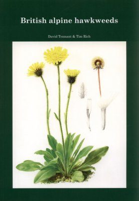 British Alpine Hawkweeds