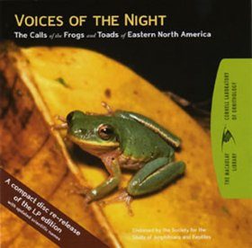 Voices of the Night