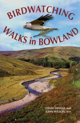 Birdwatching Walks in Bowland