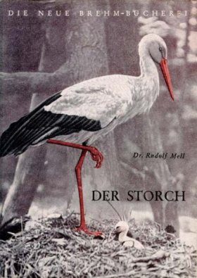 Der Storch (Stork)