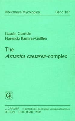 The Amanita Caesarea-Complex