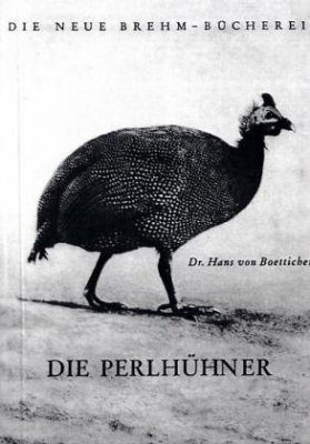 Die Perlhühner (Guineafowl)