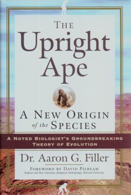 The Upright Ape