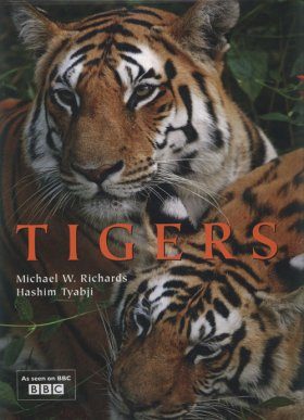 Tigers