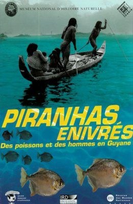 Piranhas Enivrés