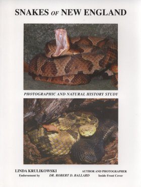 Snakes of New England