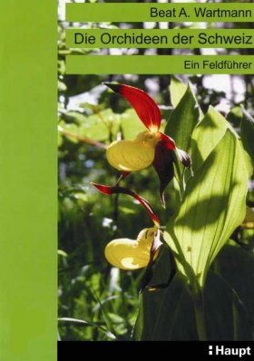 Die Orchideen der Schweiz