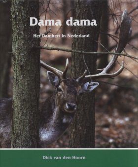 Dama Dama