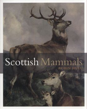 Scottish Mammals