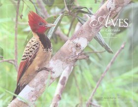 Birds of the Cerrado / Aves do Cerrado