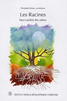 Les Racines