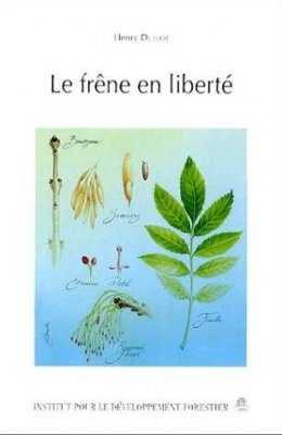 Le Frêne en Liberté