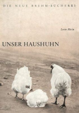 Unser Haushuhn (Chicken)