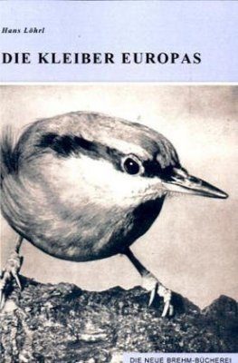 Die Kleiber Europas (Nuthatch)