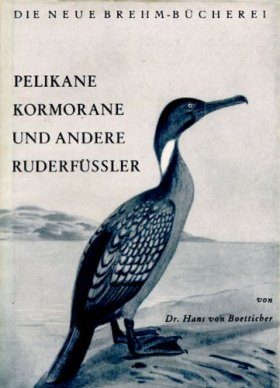 Pelikane, Kormorane und andere Ruderfüssler
