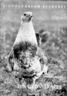 Die Grosstrappe (Great Bustard)