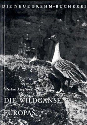 Die Wildgänse Europas (Wild Goose)