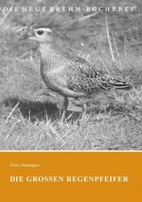Die Grossen Regenpfeifer (Large Charadriidae)
