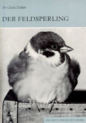 Der Feldsperling (Tree Sparrow)