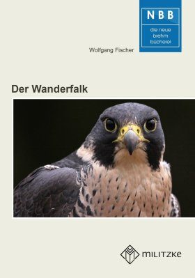 Der Wanderfalk (Peregrine Falcon)