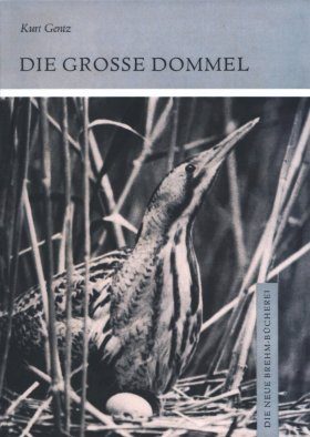Die Grosse Dommel (Eurasian Bittern)