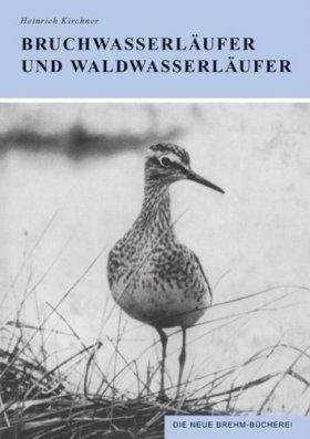 Bruchwasserläufer und Waldwasserläufer (Wood Sandpiper and Green Sandpiper)