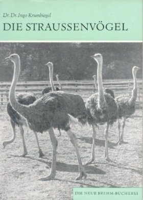 Die Straussenvögel (Ostrich)