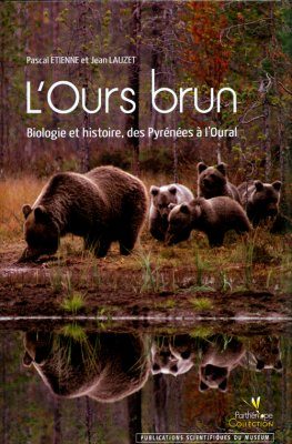 L'Ours Brun
