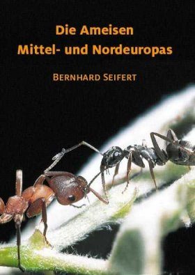 Die Ameisen Mittel- und Nordeuropas