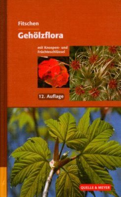 Gehölzflora: Mit Knospen und Fruchteschlussel