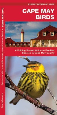Cape May Birds