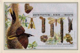 Architecture by Birds and Insects