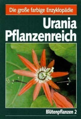 Blutenpflanzen 2