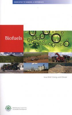 Biofuels Issue Brief