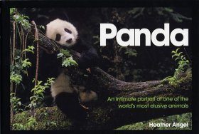 Panda: An Intimate Portrait of One of the World's Most Elusive Animals