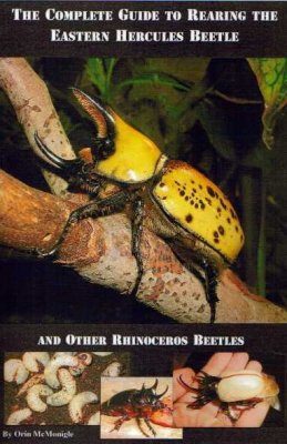 The Complete Guide to Rearing the Eastern Hercules Beetle and Other Rhinoceros Beetles