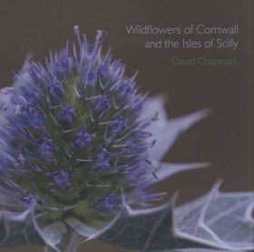 Wildflowers of Cornwall and the Isles of Scilly