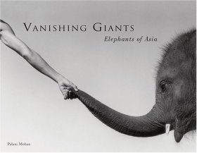 Vanishing Giants