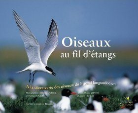 Oiseaux au fil d'Etangs