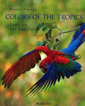 Colors of the Tropics