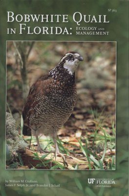 Bobwhite Quail in Florida