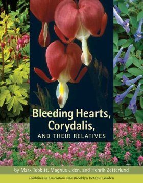 Bleeding Hearts, Corydalis, and their Relatives