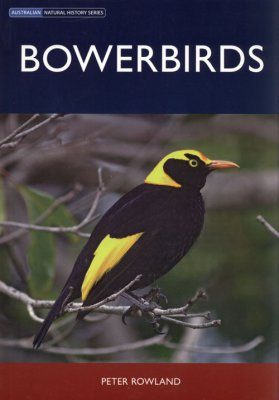 Bowerbirds