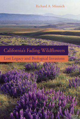 California's Fading Wildflowers