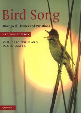 Bird Song