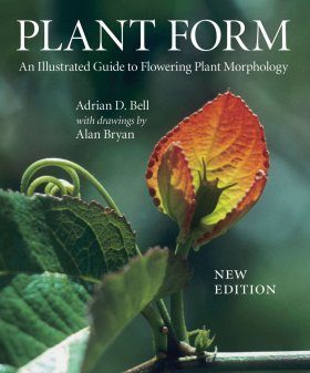 Plant Form