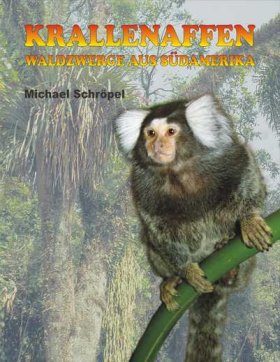 Krallenaffen: Waldzwerge aus Südamerika