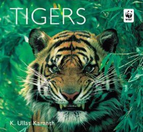 Tigers