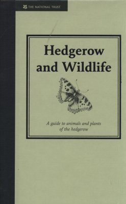 Hedgerow and Wildlife
