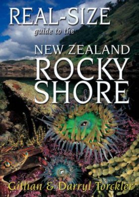 Real-Size Guide to the New Zealand Rocky Shore